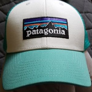Patagonia Trucker Hat